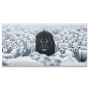 Lion Among Sheep