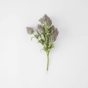 Ruby Blush Spray - Lavender