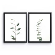 Eucalyptus Bundle