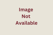 Cinder Block Interlock Faux Wall Panels-Interlock