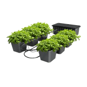Hydroponic Bucket System