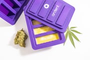 Infusion Mold