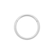Tilum 16g Titanium Segment Clicker - Price Per 1