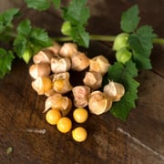 Pineapple Ground Cherry (Heirloom 75 Days)