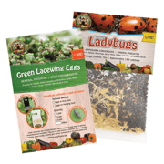 Garden Variety Pack - 1,500 Ladybugs & 1,000 Green Lacewings