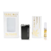 1:1 Ratio Mini Starter Kit – Half CBD, Half Delta 8 THC | Battery + Cart Bundle (Save $20)