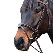 Equiline Padded Removable Flash Noseband