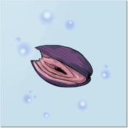 Pink Clam