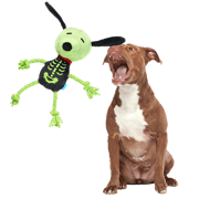 Rattling Bones Beagle