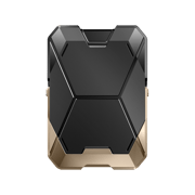 Magnetic Wallet with Stand-Gold