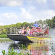 Everglades Airboat Tour and Drive-Thru Wildlife Safari
