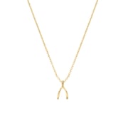 Modern Make A Wish Wishbone Charm Necklace