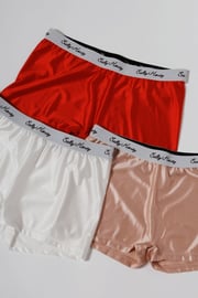PLAYFUL BRIEF PACK: LUST | ‼️ ONLY S, M & L LEFT! ‼️