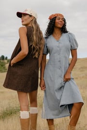 The Holloway Denim Dress
