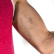 Line Rose