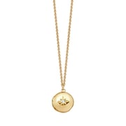 Gold Biography Mini Locket Necklace