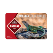 National Parks Annual Pass