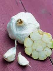 Garlic, Italian Loiacono
