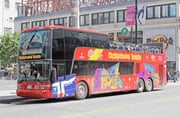 Royal Ontario Museum + Hop-On-Hop-Off Toronto