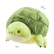 Noot the "Turtle"