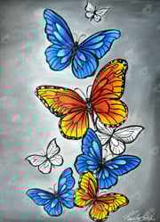 Butterfly