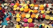 Find flights from Singapore to Bengaluru