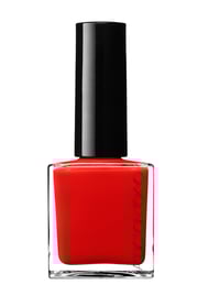 The Nail Polish
