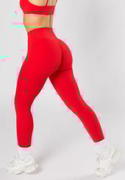 FormLux™ Original Sculptseam® Plus Legging Pulse