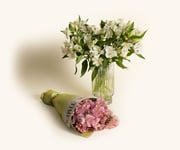 Alstroemeria