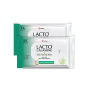 Lacto Calamine Daily Cleansing Face Wipes, Makeup Remover Wipes with Aloe Vera - Pack of 2