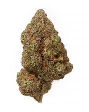APRICOT MIMOSA (INDOOR) THC-A Hemp Flower