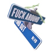 Fuck Around and Find Out Street Sign Hanger