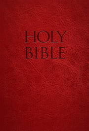 NABRE Holy Bible Red