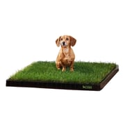 DoggieLawn