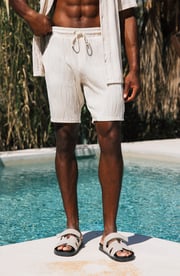 Wave Shorts in Stone