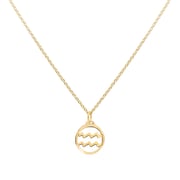 Flat Aquarius Pendant with Classic Chain in 14k Gold