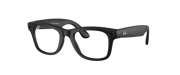 Ray-Ban | Meta Wayfarer