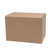 18” x 12” x 12” Box