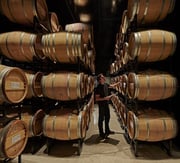 Tour and Tasting at Chicago Winery