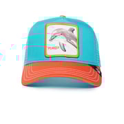 The Player Dolphin