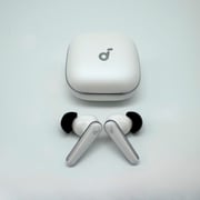 TrueGrip™ TW-180-B Memory Foam Ear Tips