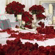 Nine Hundred &amp; Ninety-Nine Red Roses