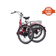 TriGo Folding Electric Tricycle
