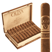 Robusto