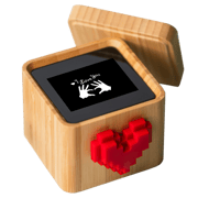 Lovebox Love Note Messenger