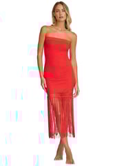 Vanessa Strapless Fringe Dress