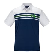 Grateful Dead | Performance Polo | Turtles on Navy and Green Stripes
