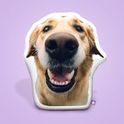 16" Small Custom Shaped Pillow Promo