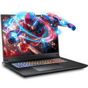SAGER NP9580T (Clevo X580WNT-G) Gaming Laptop