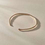 The Bronze Bone Collar